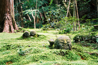 http://chinoken.net/wordpress/wp-content/images/mt_images/2009/20090924_06.jpg