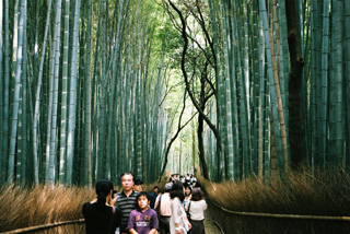 http://chinoken.net/wordpress/wp-content/images/mt_images/2009/20090924_11.jpg