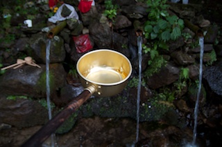 http://chinoken.net/wordpress/wp-content/images/mt_images/2010/20100923_02.jpg
