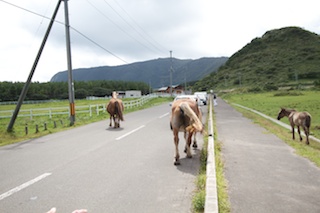 http://chinoken.net/wordpress/wp-content/images/mt_images/2010/20100923_11.jpg
