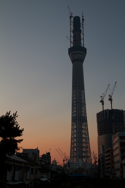 http://chinoken.net/wordpress/wp-content/images/mt_images/2010/20101107_02.jpg